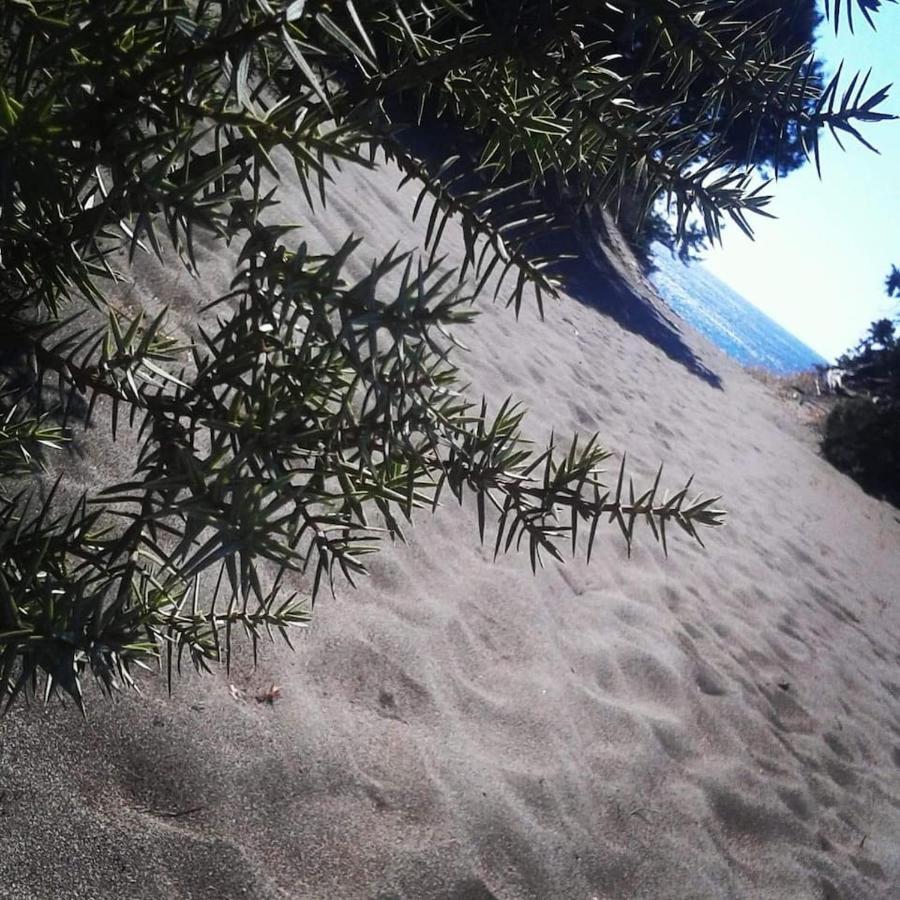 Cedrus And Sea, Beachfront House, Gennadi, Rhodes Exterior foto